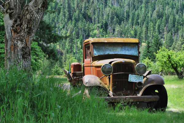 Old truck in orchard in Stehekin...