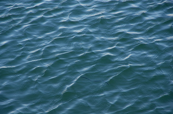 Patterns in the water...