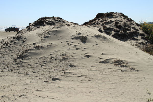 Sand dunes on Bolivar Peninsula, near Galveston...