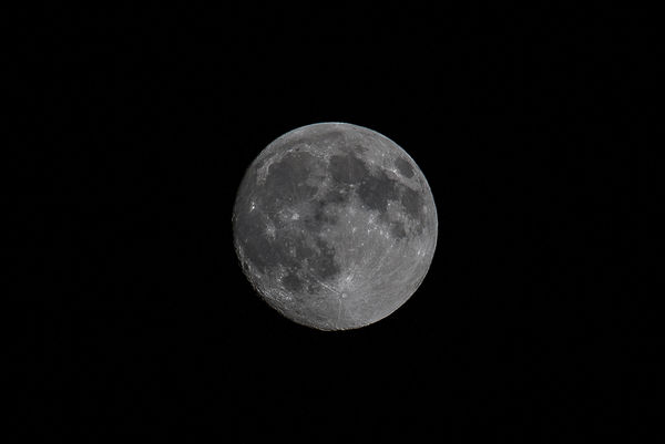ISO 250, 360 mm, f/5.6 1/1250 sec Canon 5D3...