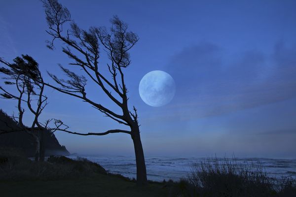 Coastal Moon...