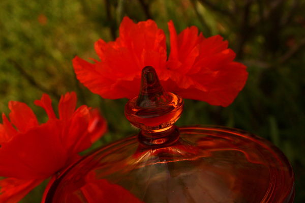 Depression glass and poppies...
