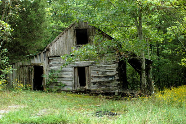 Old barns andbuildings in Monterey TN: I love photographing old barns ...