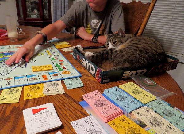 Carolw watching us play Ceder Point Monopoly...