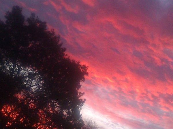 The sky is on fire...