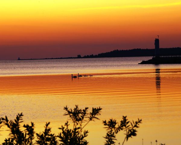 Silhouettes in Lake Huron Sunrise...