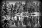 Refuge Reflections in Black and White...