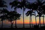 The Palms at Waikiki at Dusk...