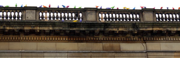 different coloured bird on top of the art gallery...