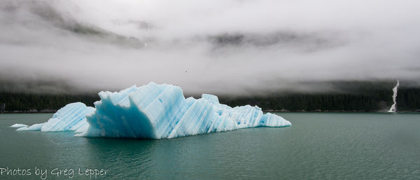 Iceberg out of the mist - Tracy Arm...