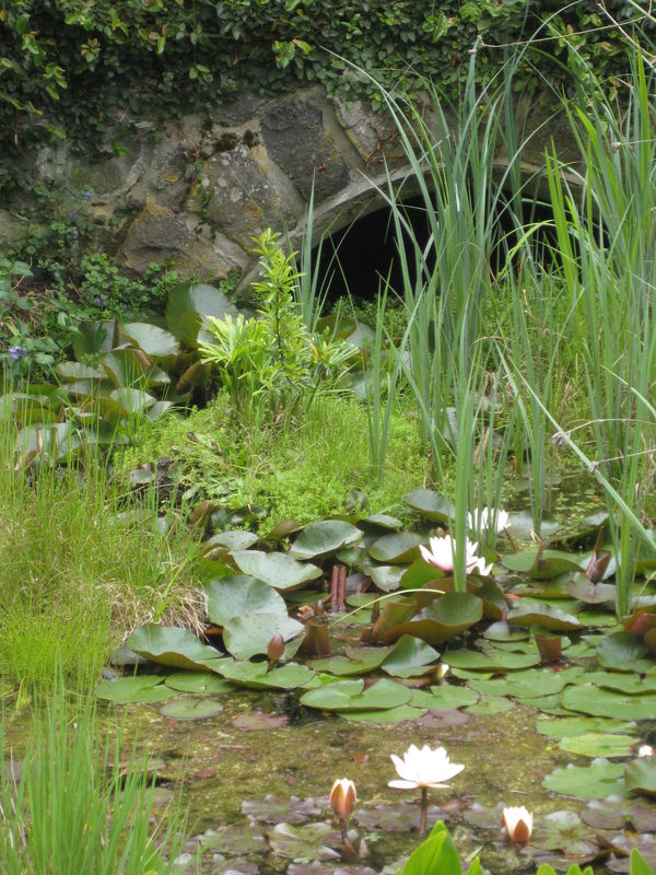 Narrapumelap Homestead and Gardens Narrapumelap Homestead is in