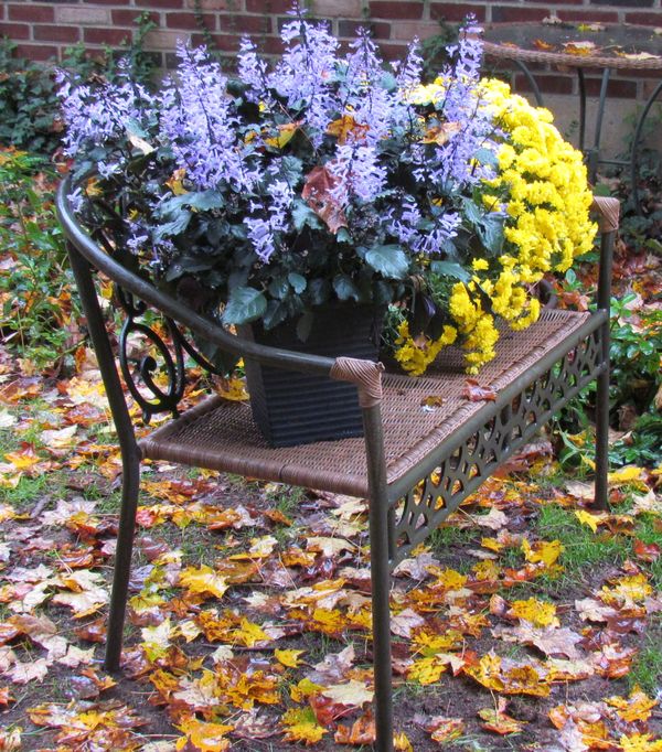 Front yard bench-last fall...