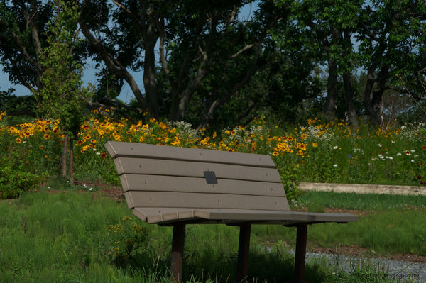 Beautifully placed bench - flowers behind and ocea...