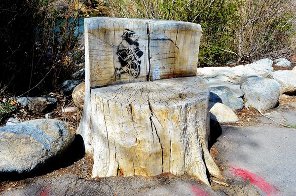 Bench in Reno on the Truckee River walk....