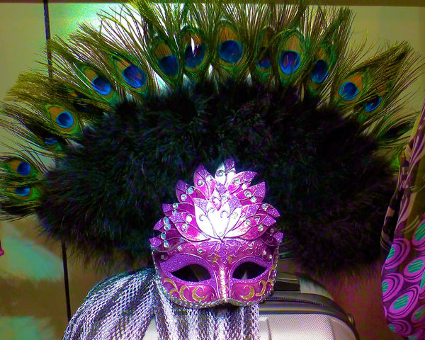 The Flamingo costume boutique's Mask...