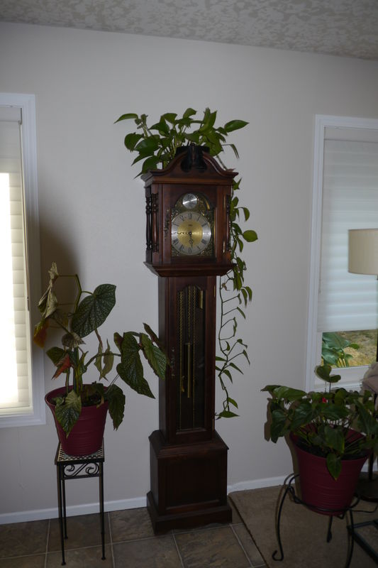 Grandfather clock...