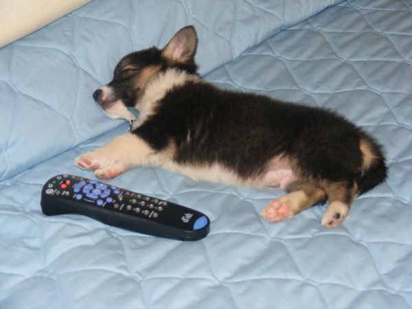 Not much bigger than the TV remote control...