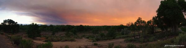 the smoke filled sky from recent fires...