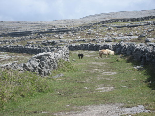 The Burren...