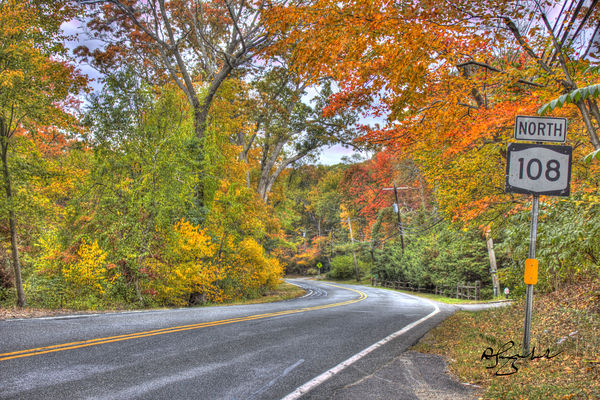 Autumn Drive, Coldspring Harbor, NY...