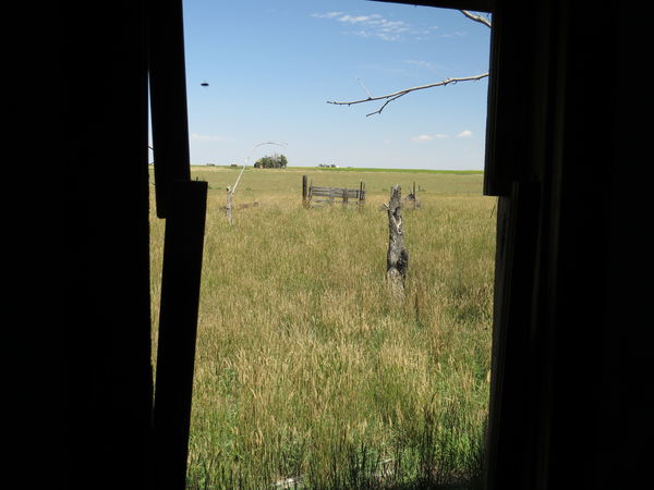 A View of the Prairie...