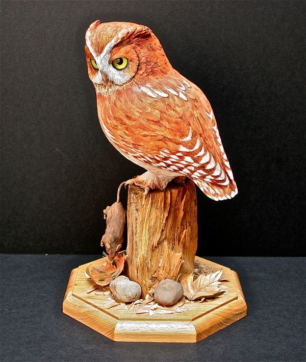 Screech Owl-Red Phase...