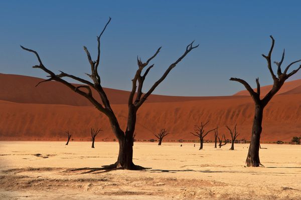 Dead Vlei Namib desert...