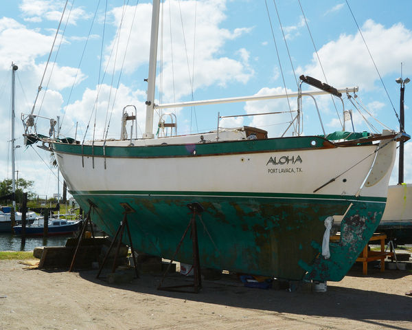 The "ALOHA" 32...she wants to go in water!...