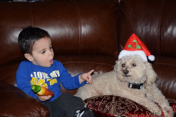 My Grandson talking to the dog...