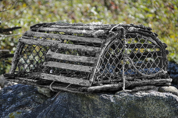 old local lobster trap...