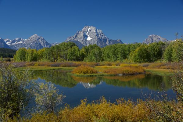 Here are some fall colors coming to the Tetons....