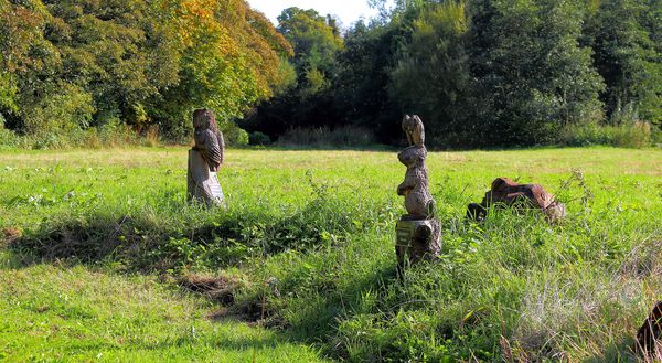 carved animals in the local park area...