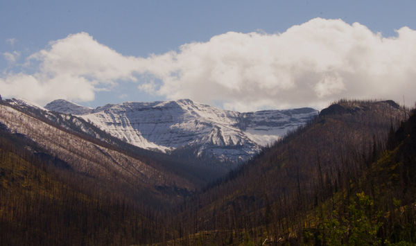 Snow on the mountains leaving Yellowstone...