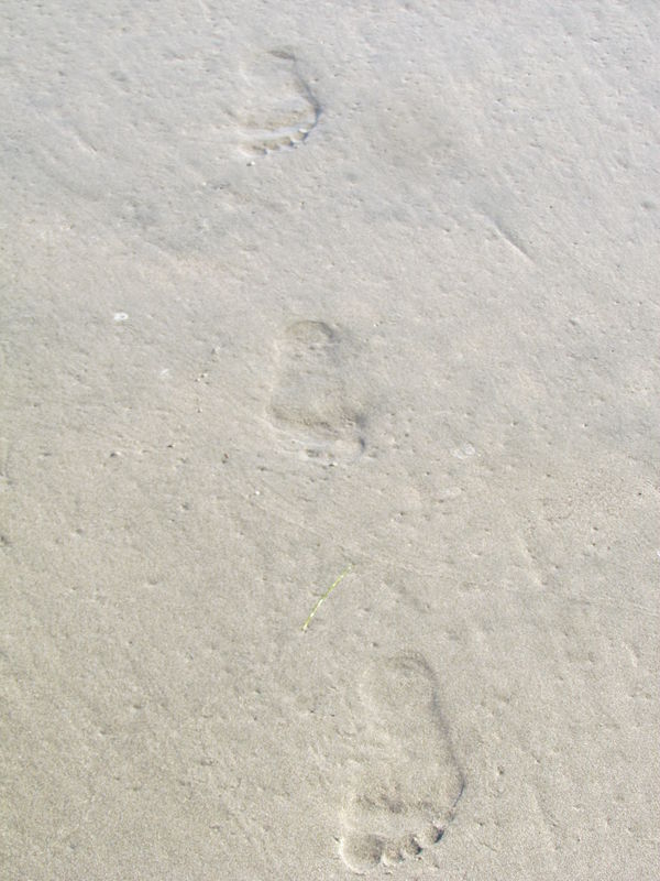 Imprints in the sand-human variety...