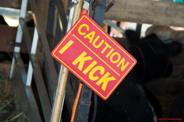 "I" Kick - seen in a barn at the Fair yesterday...
