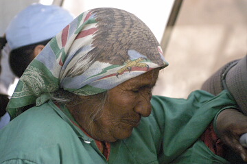 Tarahumara woman on the bus...
