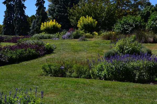 Beautiful plantings of Purple, Green and Light Gre...