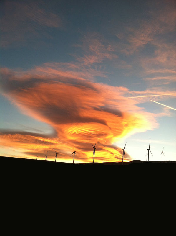 Ridge of turbines near Tehachapi CA...