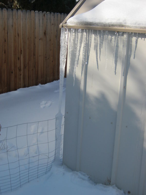 Icicle from roof to ground...