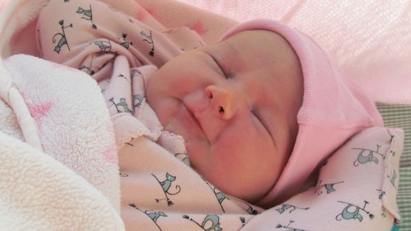 Sweet Elizabeth-New Born 11/12...