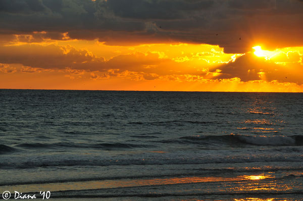 Florida Sunrise...