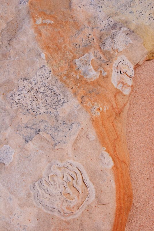 White Pockets sandstone (AZ)...