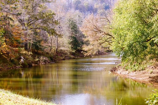 a West Virginia creek...