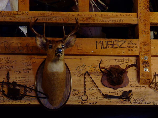Rustic Decor Inside The Red Dog Saloon...