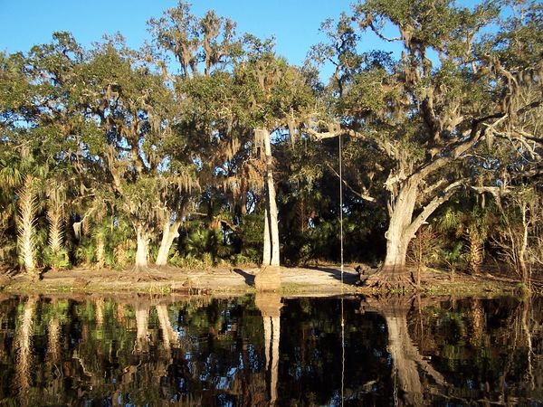 Late afternoon reflections St John's River...
