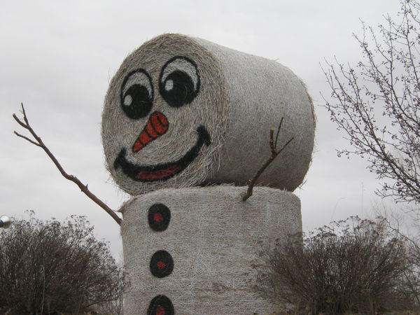 Frosty the snow bails....