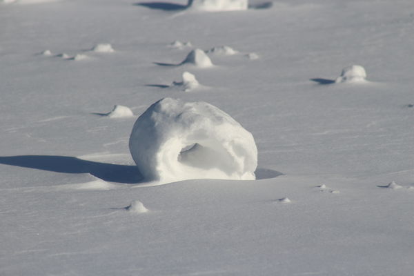 snow rollers...