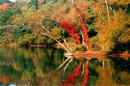 The lake in Findley State Park,Ohio...