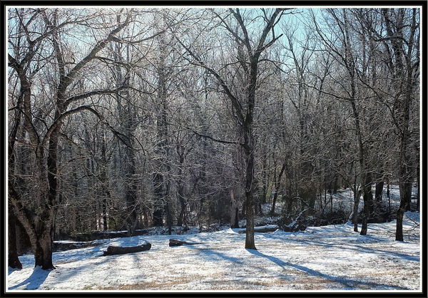 Winter in North Carolina, January, 2014...