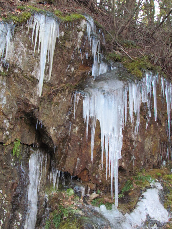 Icicles on rock-New Year's Day hike in Washington,...